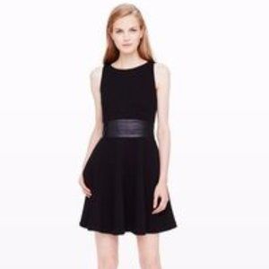 Club Monaco Tabitha dress